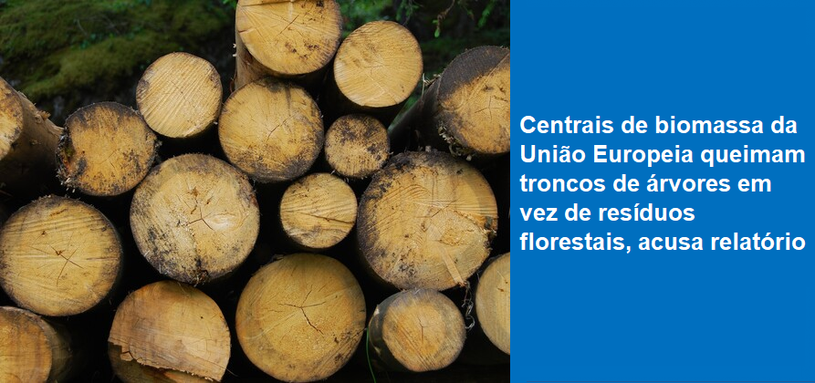 Centrais de biomassa da União Europeia queimam troncos de árvores em vez de resíduos florestais, acusa relatório